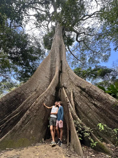Amazônia