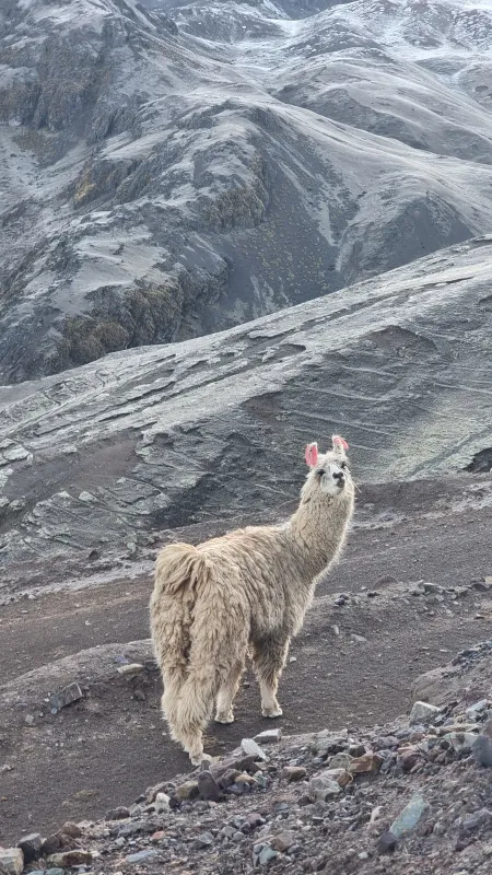Peru